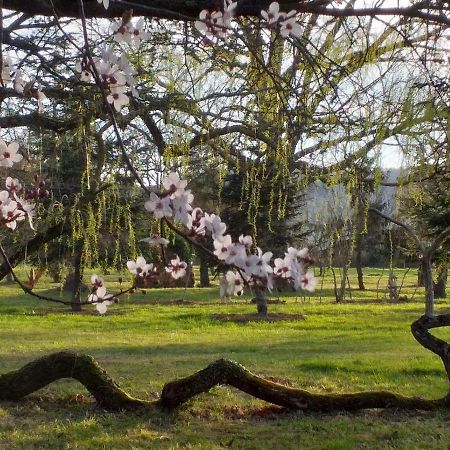 Domaine Berenguer Bed & Breakfast Ouches Екстериор снимка